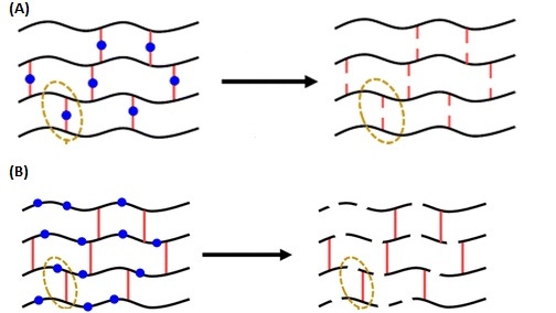 Making More Polymers Recyclable